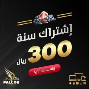 اشتراك فالكون سنة