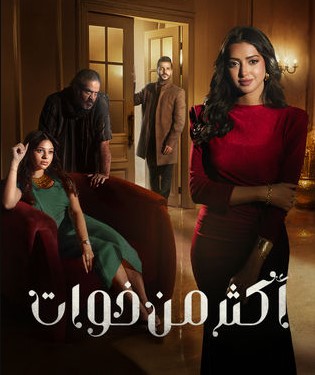 مسلسل أكثر من خوات